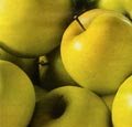 Manzanas de Provencia